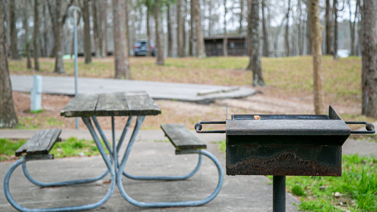 Cuenta con áreas designadas para que las familias organicen asados y días de campo.