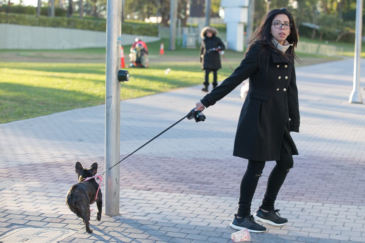 En Bayfront Park, en Miami, algunos decidieron salir a pasear a sus mascotas con abrigos y gorros de piel.