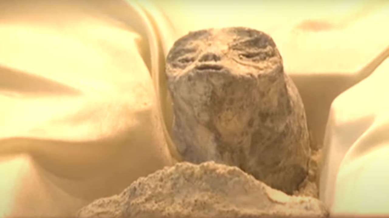 "Puedo afirmar que estos cuerpos no guardan relación con el cuerpo humano", explicó el especialista en ciencias forenses José de Jesús Zalce. Añadió que realizaron múltiples pruebas a los cuerpos, incluyendo el de ADN y carbono 14 para llegar a esta conclusión.