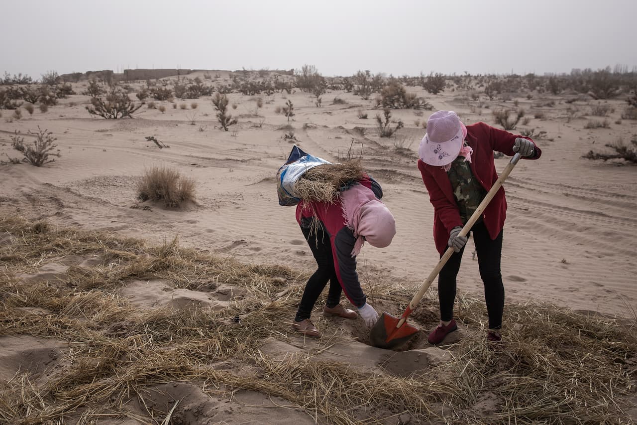 Varios expertos garantizan, incluso, que las cifras que presenta este estudio son 
<b>una "estimación a la baja"</b>, pues se toman en cuenta sobre todo los desplazamientos temporales y a partir de desastres naturales puntuales, que no reflejan del todo el efecto de fenómenos a más largo plazo como
<b> la sequía, la desertificación, el aumento de la temperatura</b>, entre otros, que también influyen poco a poco a que las personas se vean impulsadas a buscar mejores condiciones climáticas para vivir.