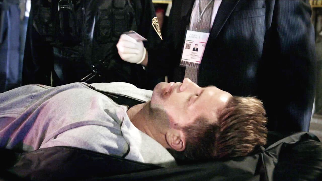 Ahora la policía está buscando al culpable.