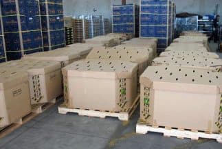 Los paquetes de marihuana estaban ocultos en estas cajas