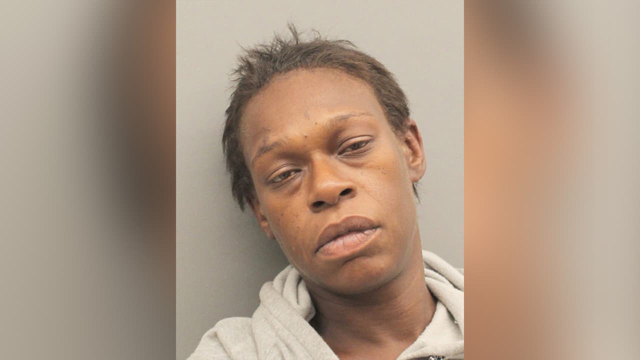 Alexis Ann Davis, enfrenta cargos de posesión ilegal de un arma.