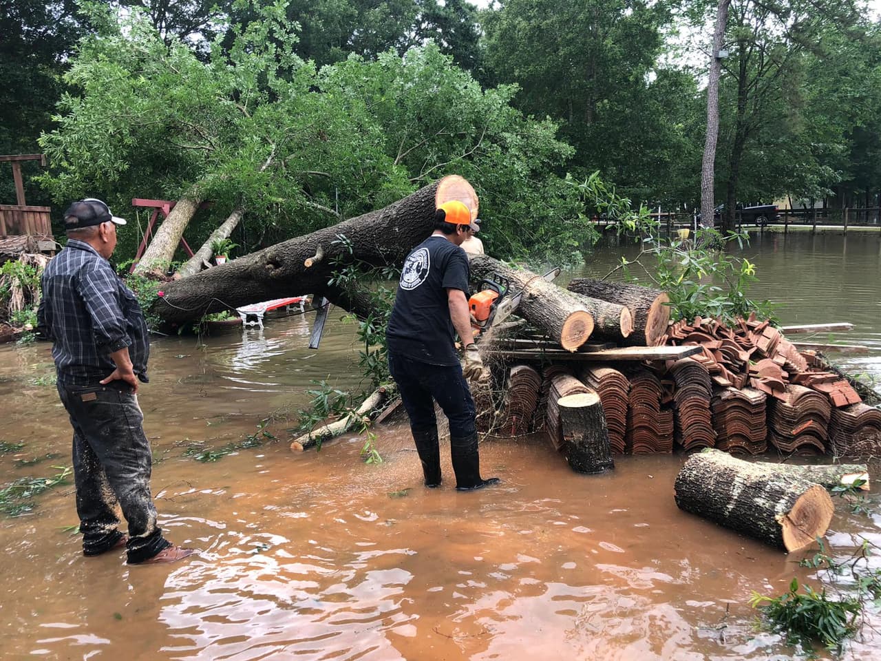 También hubo árboles caídos en área de Cypress Point al norte de Huffman donde los terrenos de las casas continúan inundados.
<br>