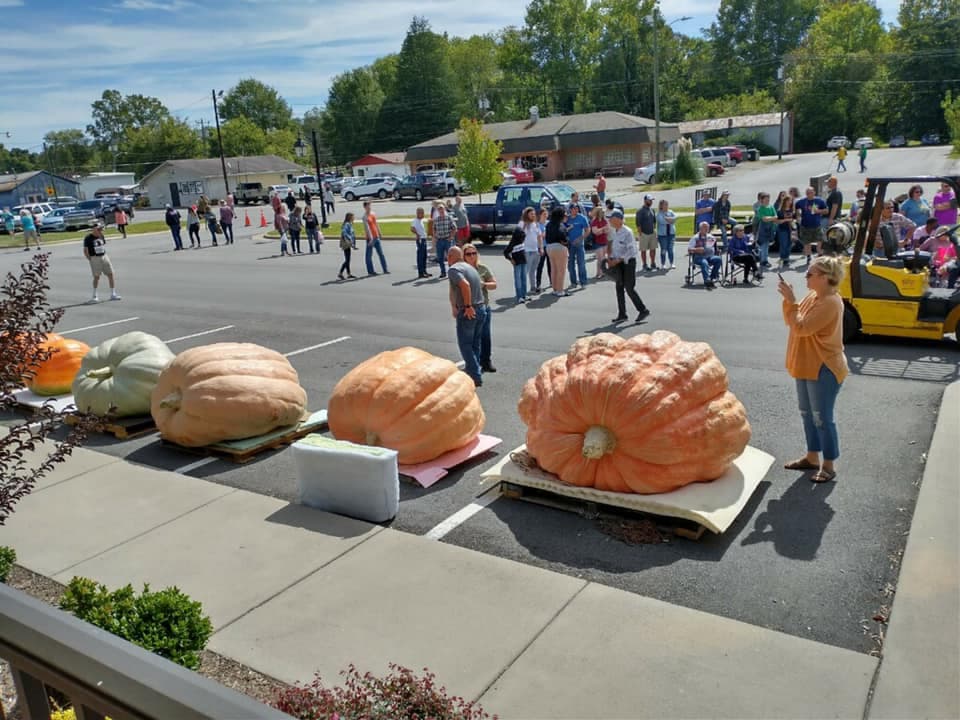 <b><a href="http://yadkinvalley.org/festivals-events/yadkin-valley-pumpkin-festival/">Yadkin Valley Pumpkin Festival (24 de septiembre)</a></b>. Ubicado aproximadamente a una hora de Charlotte y Winston Salem, Elkin es un pequeño pueblo lleno de encanto y una forma de vida más tranquila. Pero cada año, la calle principal de Elkin se llena de visitantes y se llena de vendedores mientras celebran el Festival de la Calabaza del Valle de Yadkin. Hay un montón de puestos para comprar, con antigüedades, cerámica, muebles y regalos hechos a mano, así como un montón de deliciosas concesiones que incluyen salchichas polacas, pasteles de embudo y mantequilla de calabaza.
