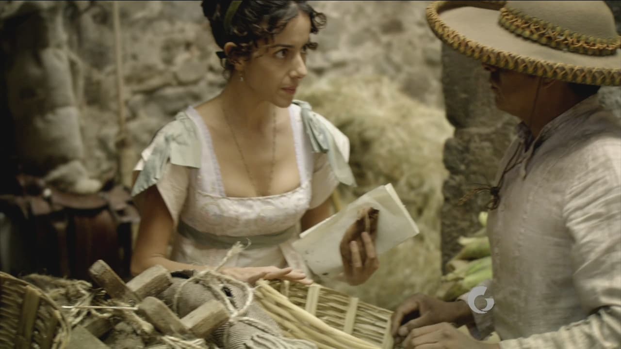 Desde la capital, una sociedad secreta, Los Guadalupes, apoya a los rebeldes. Vinculada a esta sociedad, una joven criolla sirve de correo y financia con su fortuna al movimiento: Leona Vicario.