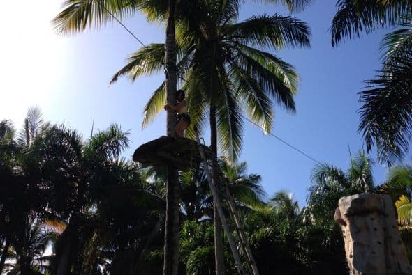 Parecía que Gelena tenía un poco de miedo.