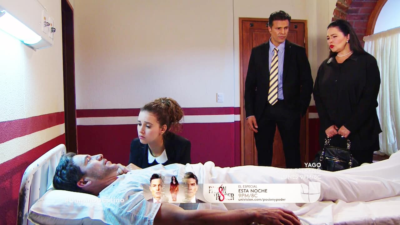 Pero no están solos, cuentas con el apoyo de Marissa.