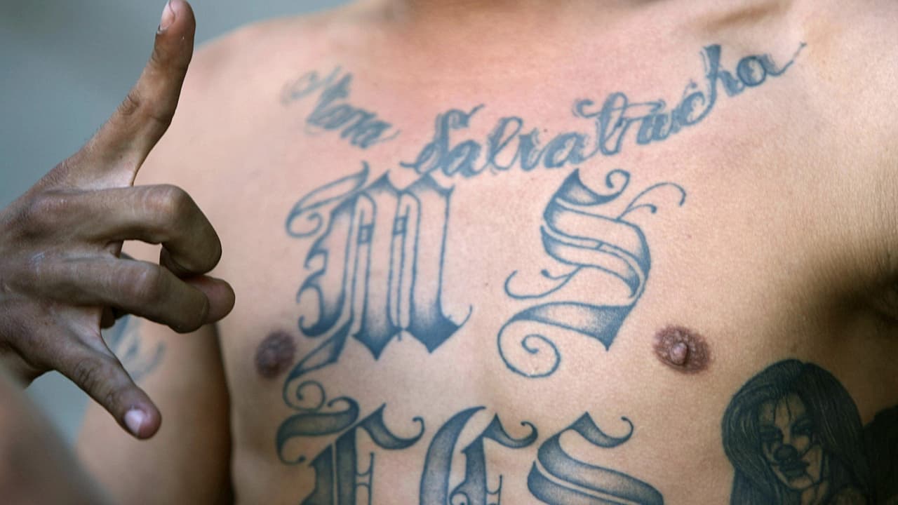 Los Plainfield Locos Salvatrucha: una de las maras que atemoriza a una ciudad de Nueva Jersey