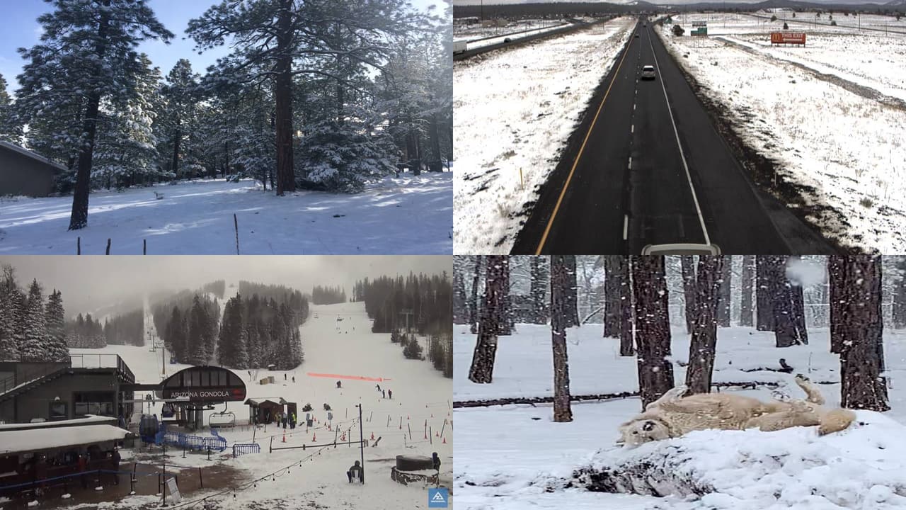 Para Flagstaff y algunas áreas aledañas las temperaturas máximas llegarán a los 39 grados Fahrenheit y mínimas de 22 grados.
<br>