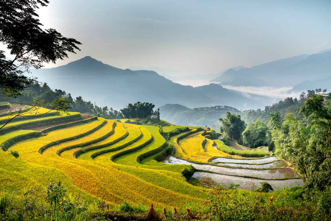 Las terrazas de siembra de arroz en Ha Giang, Vietnam, en la frontera con China.