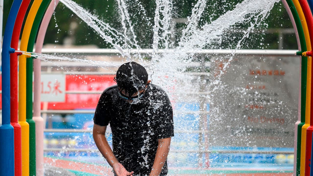 El resort tiene una oferta especial para residentes de Texas y Luisiana del 15% de descuento en una suite y acceso de cortesía al parque acuático, gimnasio, minigolf, tenis y las demás instalaciones.
<br>