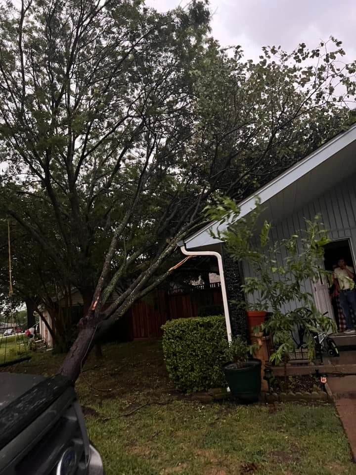 Se recomienda consultar con cada colegio para saber qué medidas ha tomado cada una para proteger a los estudiantes.