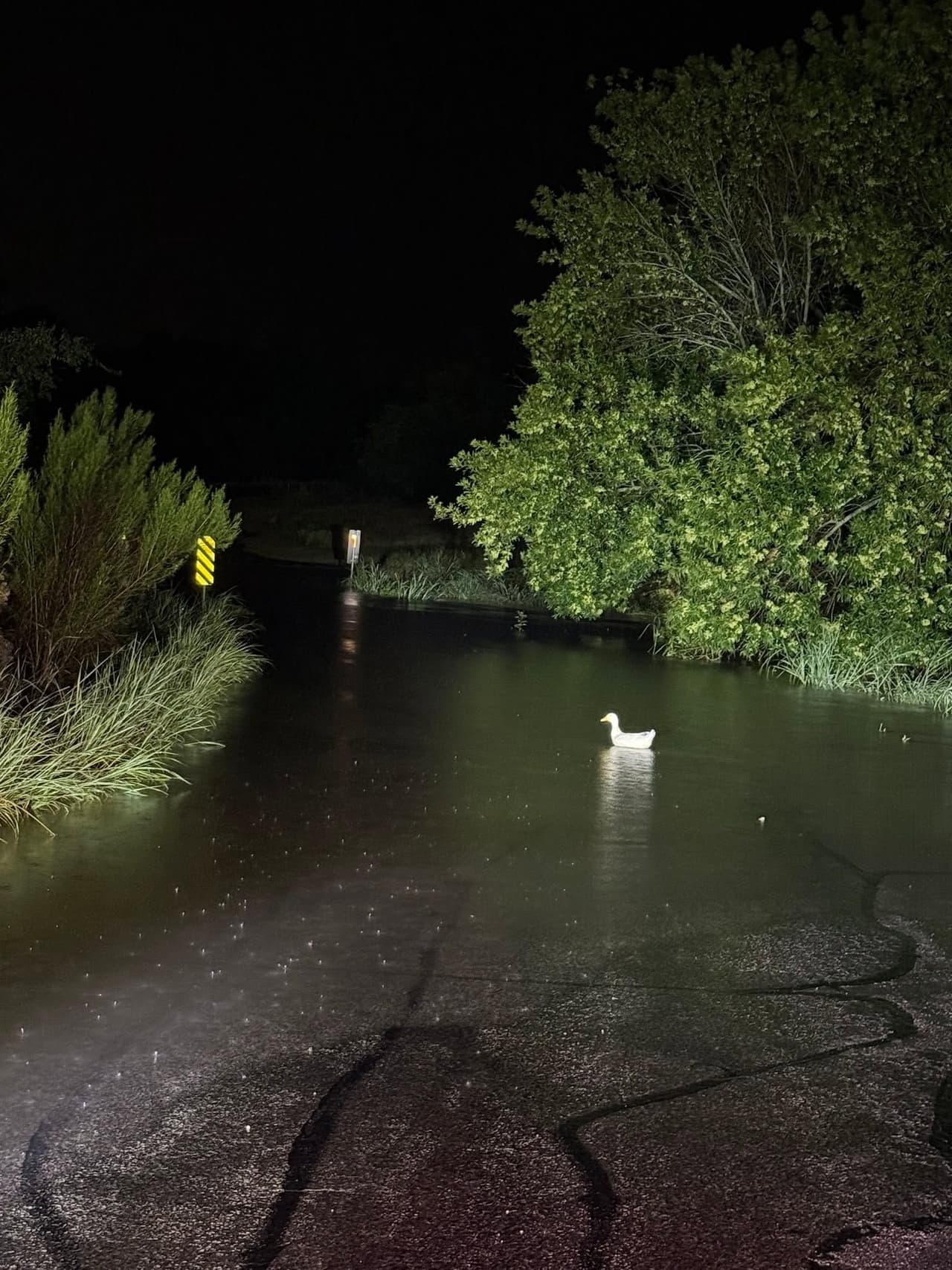 Las calles de la ciudad están inundadas y autoridades pidieron a residentes a no salir de casa debido a que aún se espera más lluvia.