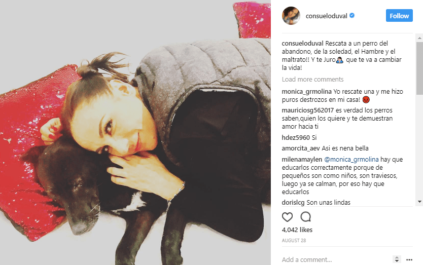 La labor de la comediante por ayudar a los animales es increíble. “Rescata a un perro del abandono, de la soledad, el Hambre y el maltrato!! Y te Juro🙏🏻 que te va a cambiar la vida!” comentó junto a esta fotografía.
<br>