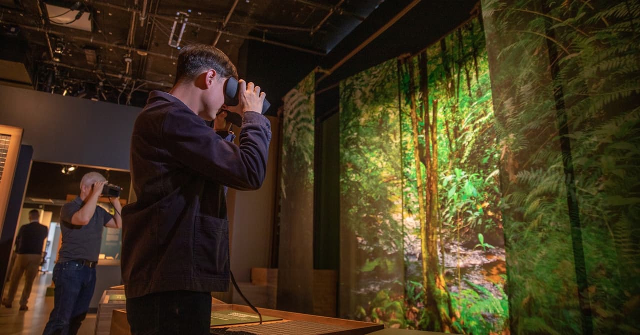 El
<a href="https://www.perotmuseum.org/" target="_blank">Perot Museum</a> también dará 4 entradas gratuitas del 1 al 31 de julio. Si quieres ver el calendario de actividades y preparar tu visita a este museo, ubicado en el centro de Dallas, entra aquí.