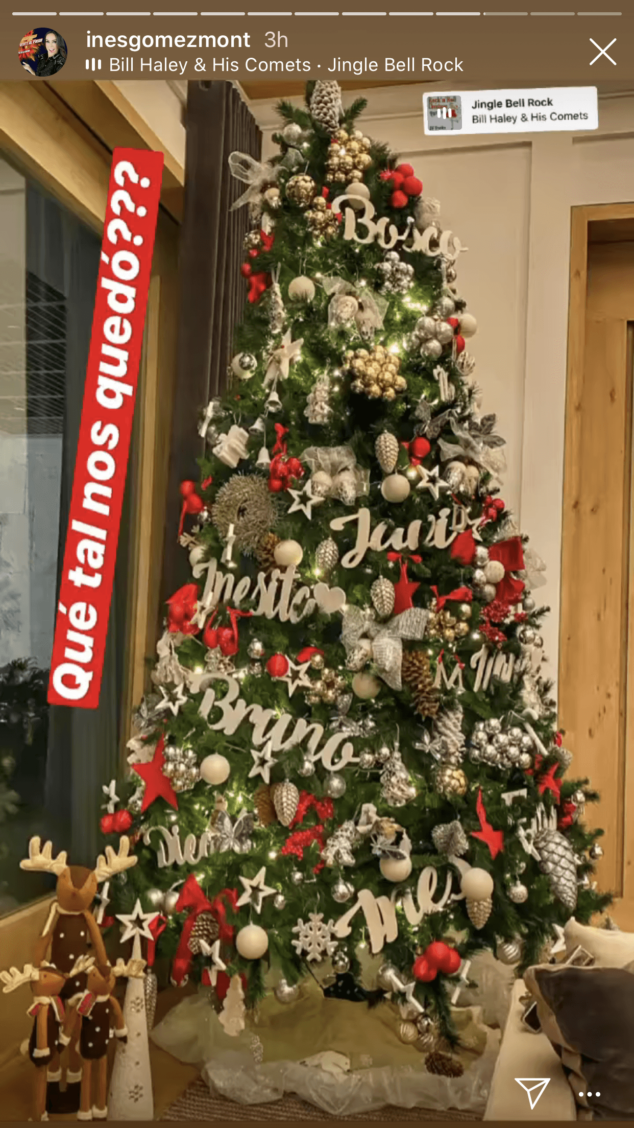 Al final, Inés presumió cómo quedó decorado el árbol de Navidad, gracias a la ayuda de sus hijos y marido.