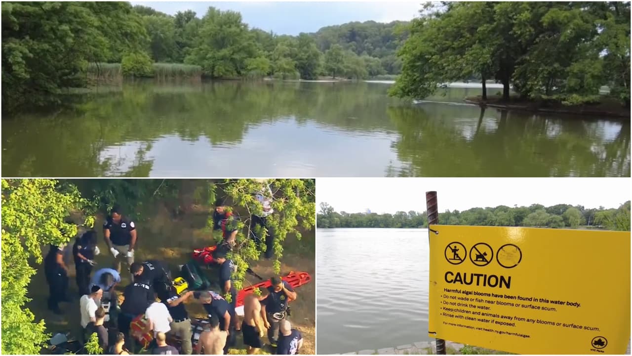 Salvan de ahogarse a un adolescente de 13 años en Brooklyn; está en cuidados intensivos