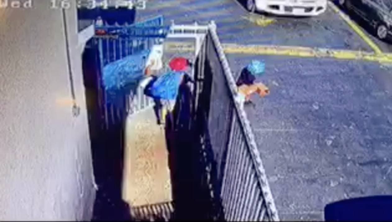 Michael es descrito como un niño de 10 años, de raza negra, con cabello negro y ojos marrones. Mide 4 pies y 9 pulgadas de alto y pesa aproximadamente 50 libras.