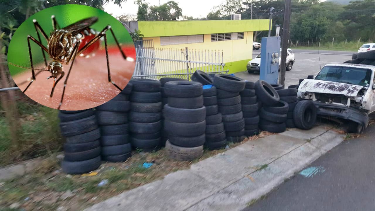 Reclaman a Hacienda por gomas usadas ante posible emergencia con el virus zika