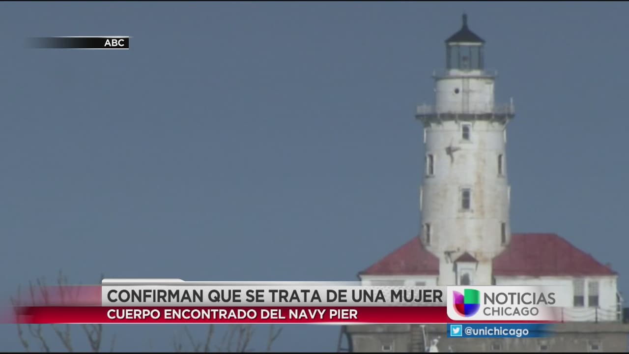 Confirman que se trata de una mujer el cuerpo en el Lago Michigan