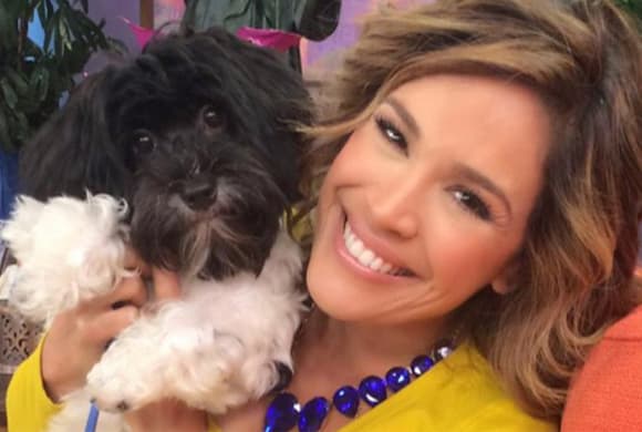 'Hoy @chompirasdog acompañó a mami a trabajar ¡madrugamos juntos! @despiertaamericatv', dijo Karla. (Mayo 12, 2015)