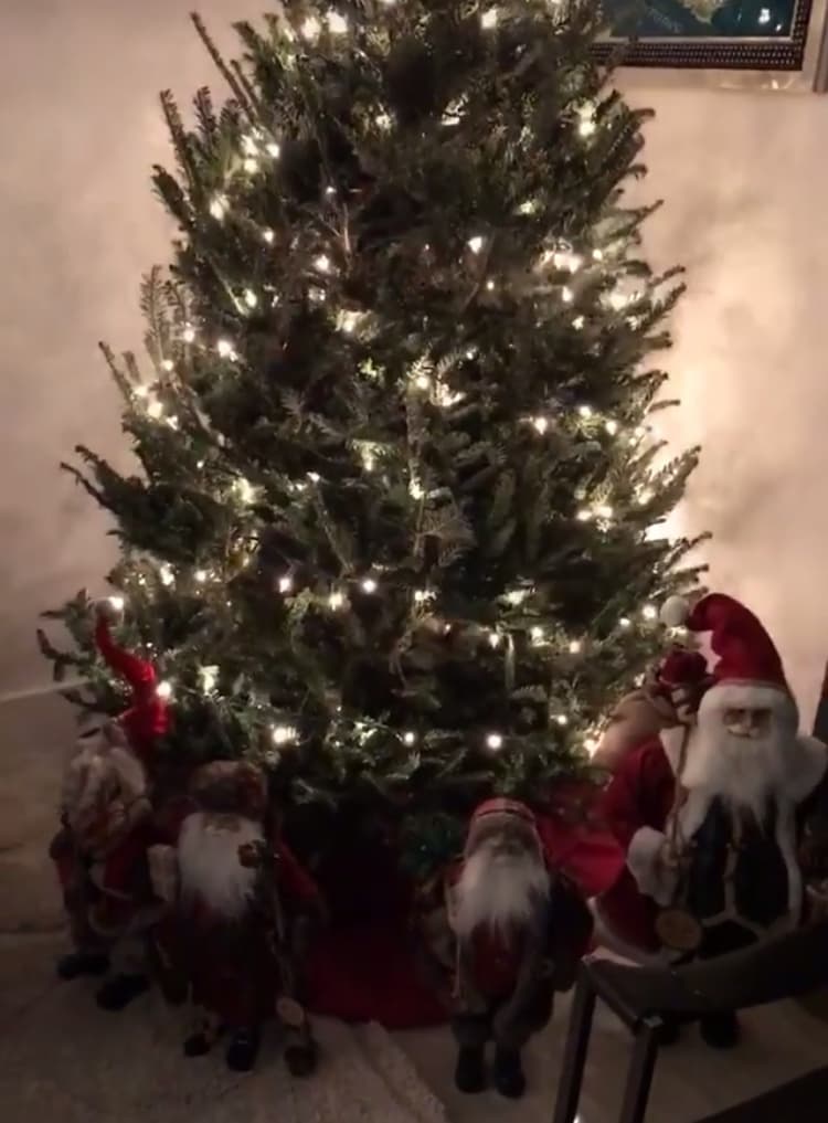 Nuestra conductora ya comenzó a poner el arbolito en casa, y compartió el proceso en sus redes sociales.