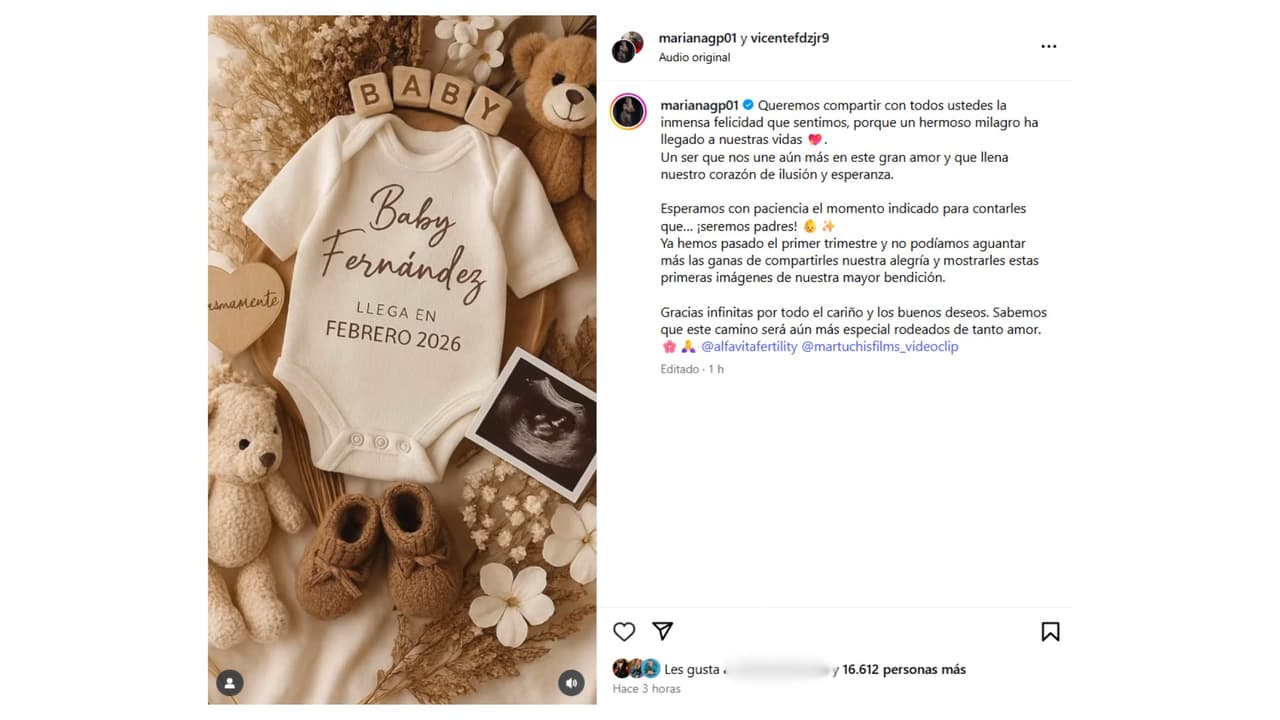 Así dieron a conocer que se convertirían en padres.