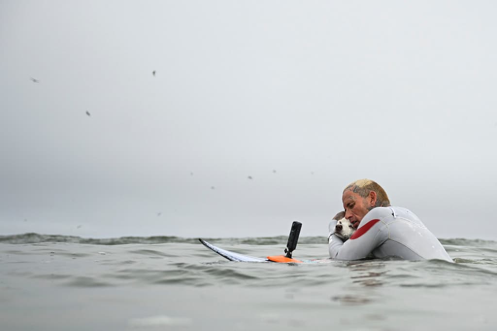 Otros perros surfistas como Sugar contaron con el acompañamiento de sus padres gran parte de la jornada. Para Ryan Rustan es importante expresarle a Sugar
<b> seguridad y amor incodicional</b> siempre; sobre todo en este proceso de competencia mundial.