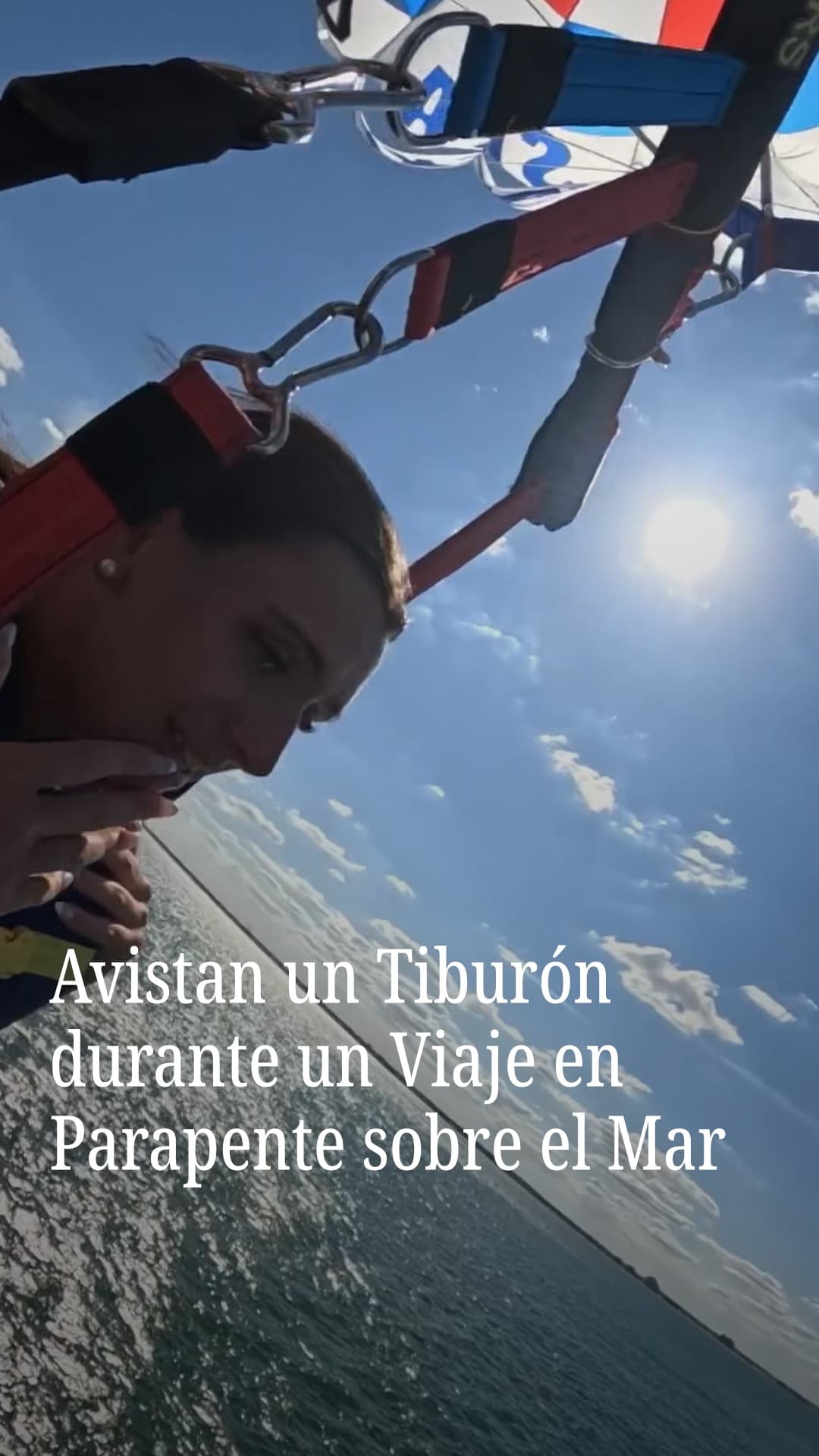 Avistan un Tiburón durante un Viaje en Parapente sobre el Mar