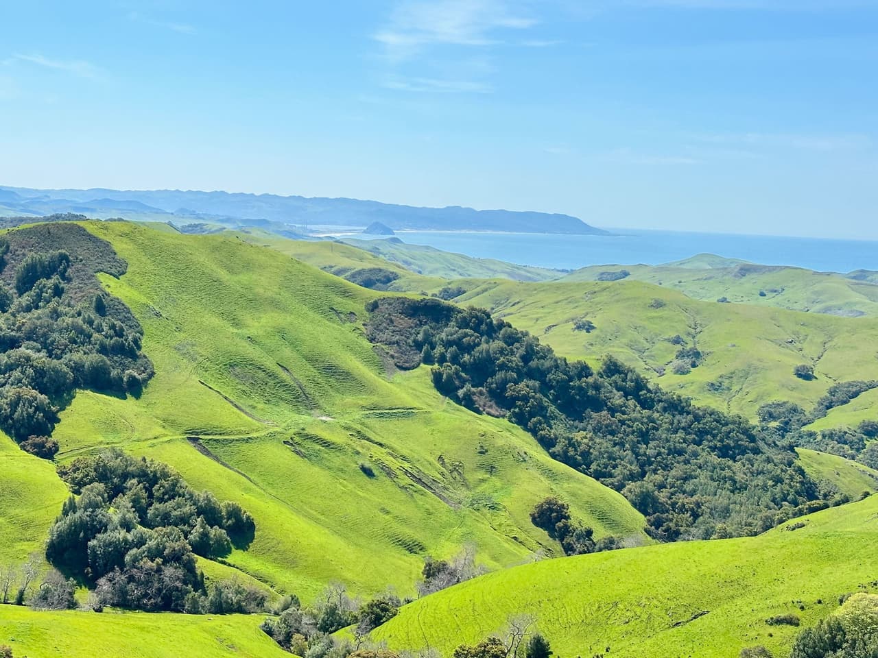 La carretera Pacific Coast Highway en California fue
<b> construida en 1930</b> para unir los diferentes puntos que hay en la costa del estado. Recorre 900 km con espectaculares vistas al Pacífico y a las montañas. Es una de las
<b>rutas escénicas más bonitas del mundo</b> y está hecha para disfrutarla, especialmente Morro Bay, Cayucos y Cambria, los destinos a 4 horas de Los Ángeles.