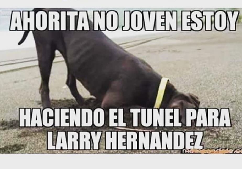 Por supuesto, luego de darse a conocer la noticia de la supuesta carta que el Chapo le mandó a Larry, los memes con un toque de humor no pudieron faltar.