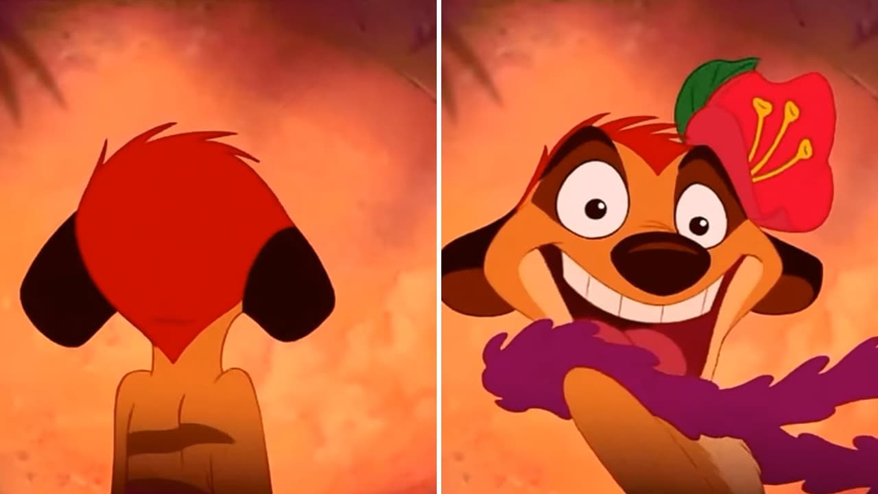 Primero Timón no trae accesorios, pero en cuestión de segundos aparece con unos