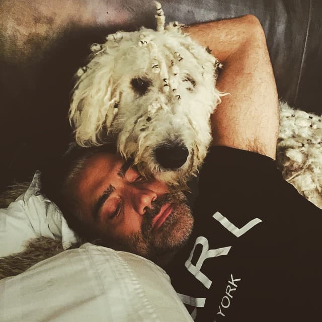 Otro de los favoritos de "El Potrillo" es Kush, un perro raza Komondor.