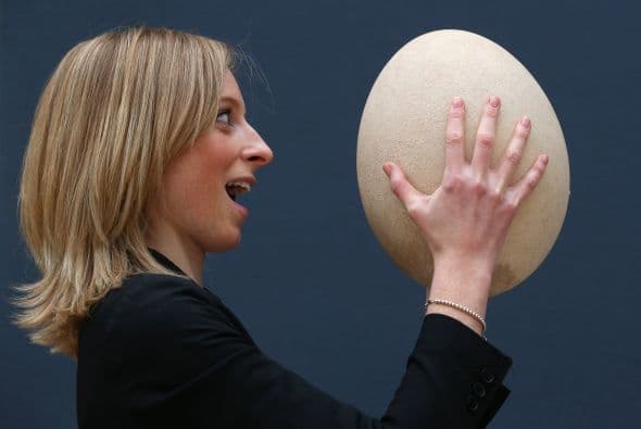 El huevo subfosilizado, cuyo nombre científico es aepyornis maximus y que está completo, formó parte de la puja dedicada a "Viajes, Ciencia e Historia Natural".