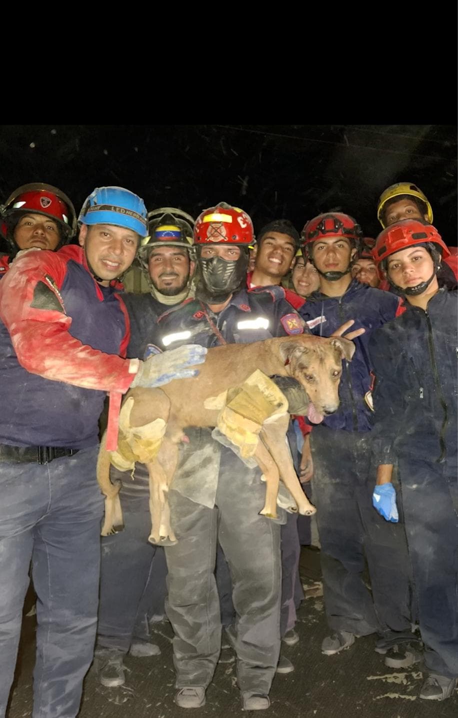 Rescatan a un perro atrapado entre los escombros en Venezuela