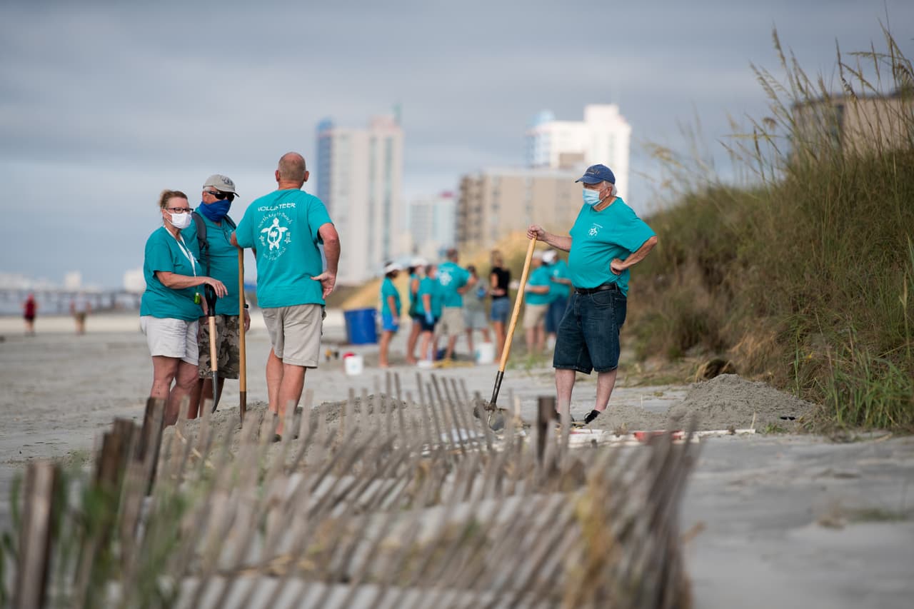 Un grupo de voluntarios acudieron a North Myrtle Beach para atender los nidos de tortugas, afectados por las intensas lluvias.
