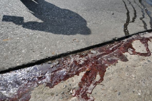 "No estamos considerando resistencia a la autoridad, que incluye unos dos mil muertos más, ni tampoco los muertos en este diciembre que ha sido muy fuerte", dijo a AFP Roberto Briceño, director del OVV, al detallar que solamente en Caracas la tasa de homicidios es de 230 cada 100 mil habitantes.