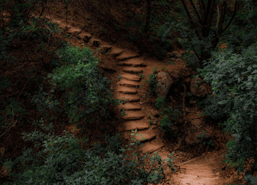 <u><a href="https://www.alltrails.com/trail/us/texas/riverplace-nature-trail">River Place Nature Trail - </a></u>Senderismo cerca de Austin