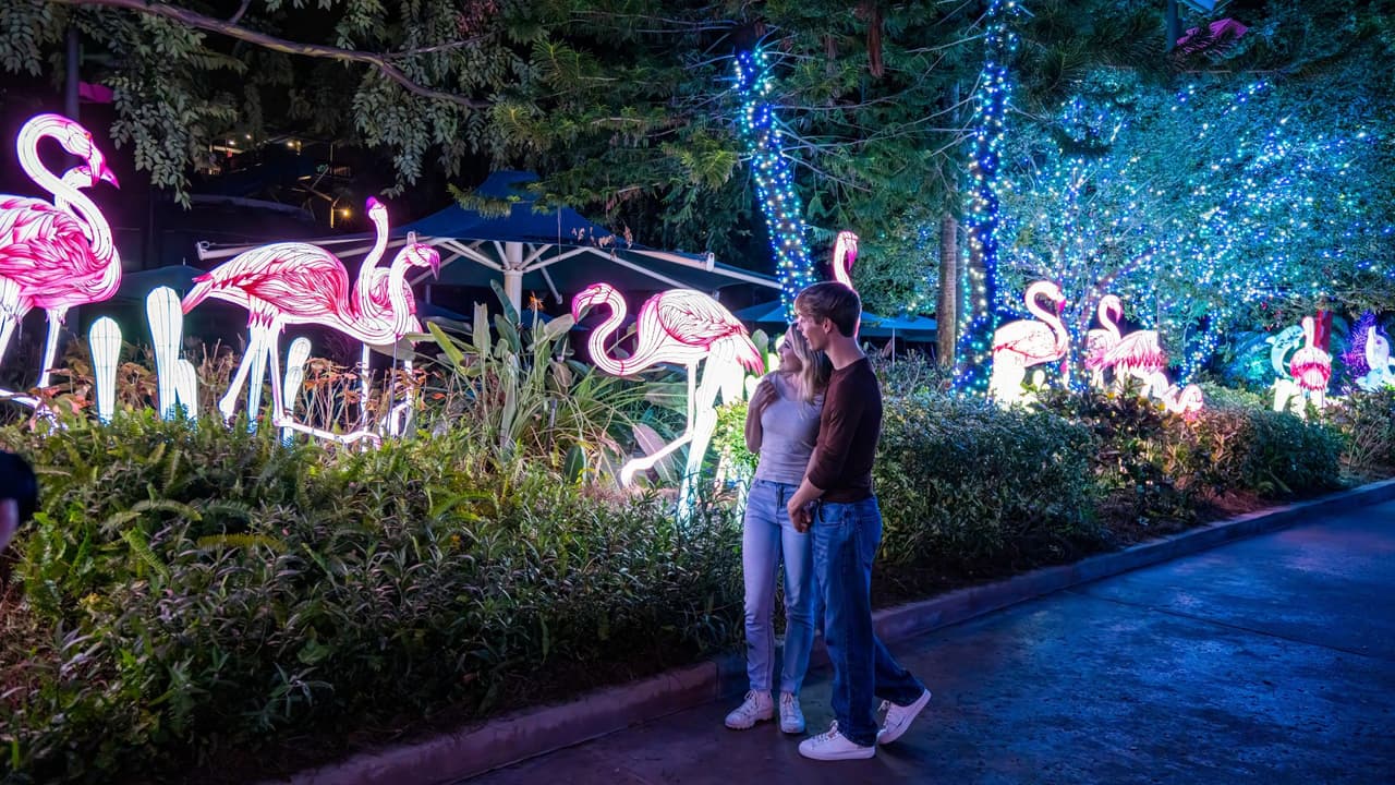 Luces, espectáculos y agua climatizada: así se vive la Navidad en SeaWorld y Aquatica