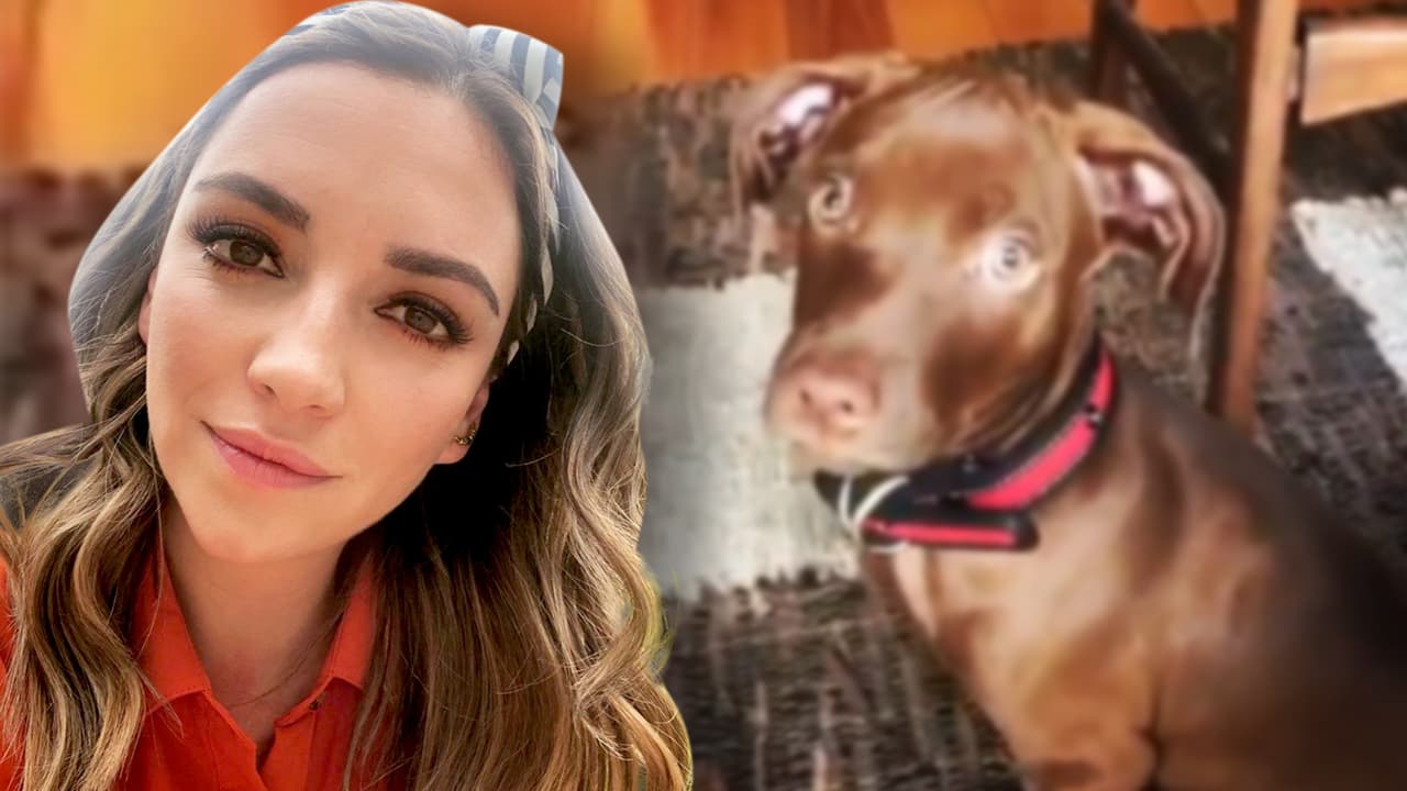 De La Familia P. Luche a… ¿Parque Jurásico? Regina Blandón se transforma en la cuarentena