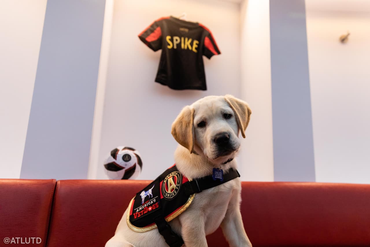 Spike es un Labrador Retriever 'canterano', de 12 semanas de vida, y que se suma de manera oficial al plantel de Frank de Boer.
