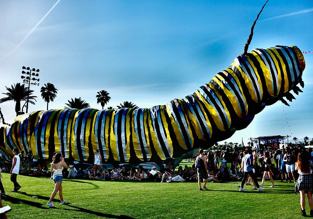 En 2015 hojas y una horuga gigante sirvieron de cobijo y protección a los asistentes, durantes las horas diurnas de la jornada musical del 2015.
<br>