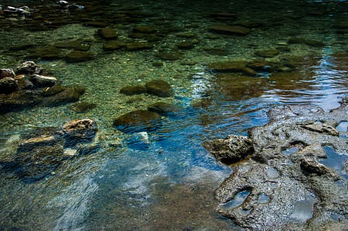 Los visitantes de Barton Creek deben hacer anticipadamente una reservación para poder visitarlo de jueves a domingo. Las reservas son gratuitas y se pueden hacer 
<a href="https://web2.vermontsystems.com/wbwsc/txaustinwt.wsc/splash.html?InterfaceParameter=WebTrac" target="_blank">en línea a partir del 1 de agosto</a>. Las personas también pueden dejar un correo de voz al teléfono 512-974-6797.