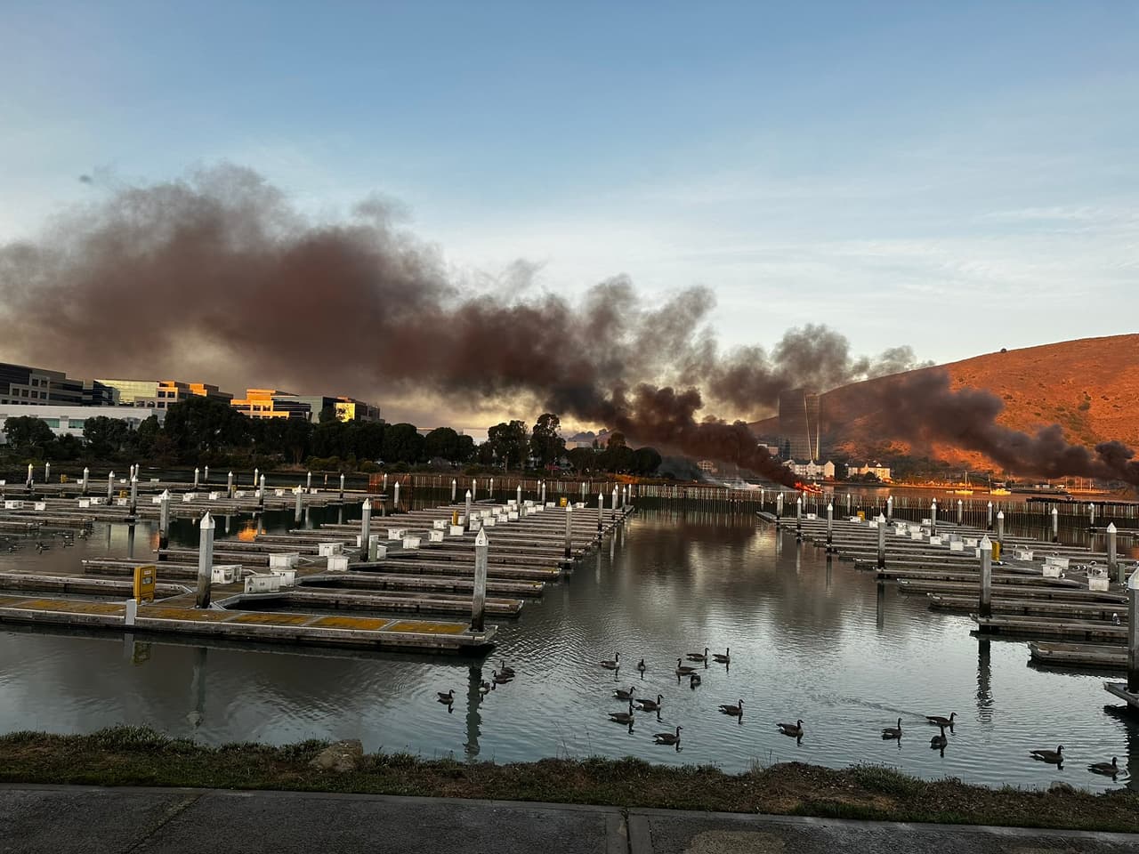 La mañana de este miércoles se reportaron múltiples incendios de embarcaciones en Oyster Point Marina, ubicada en South San Francisco.