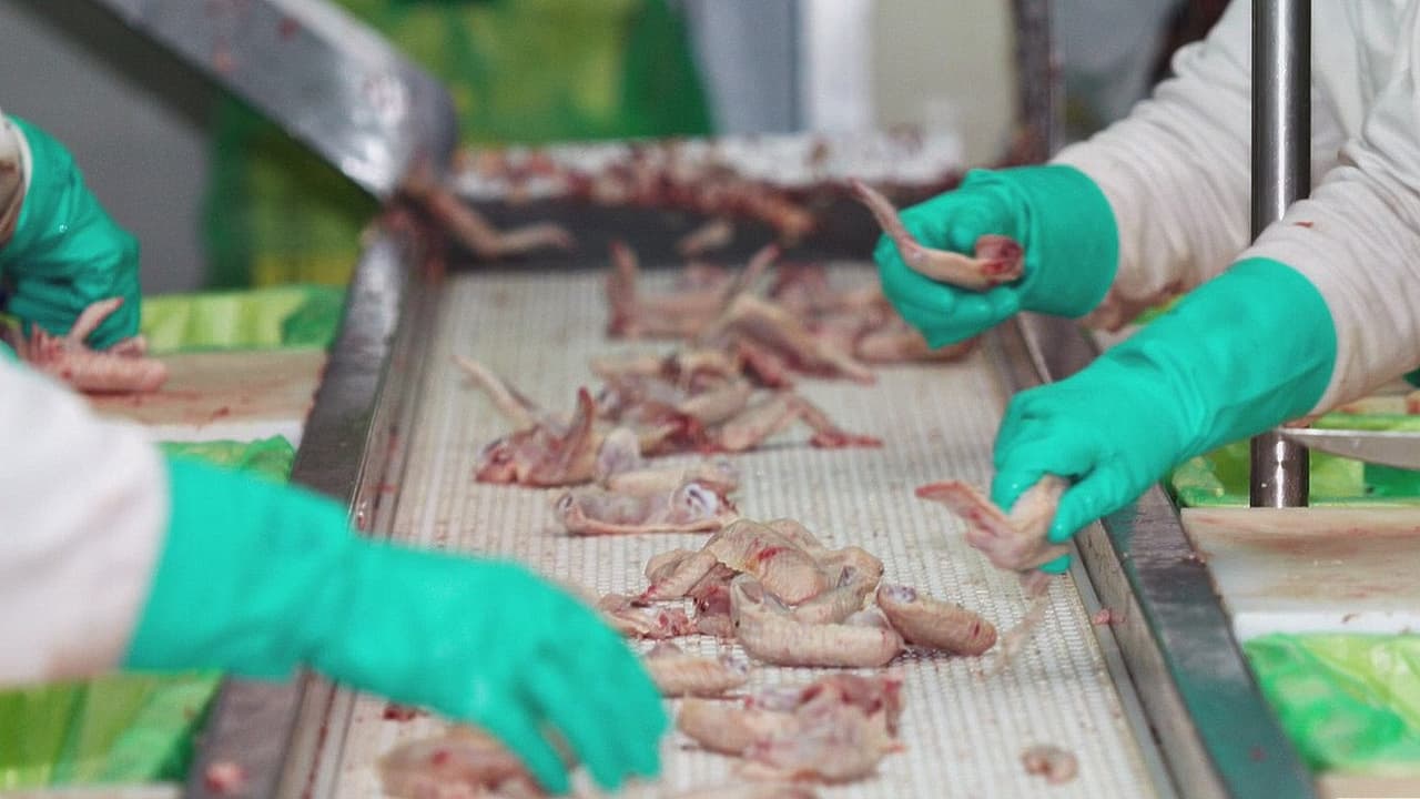 Estos son los riesgos que corren los trabajadores en las polleras de Georgia