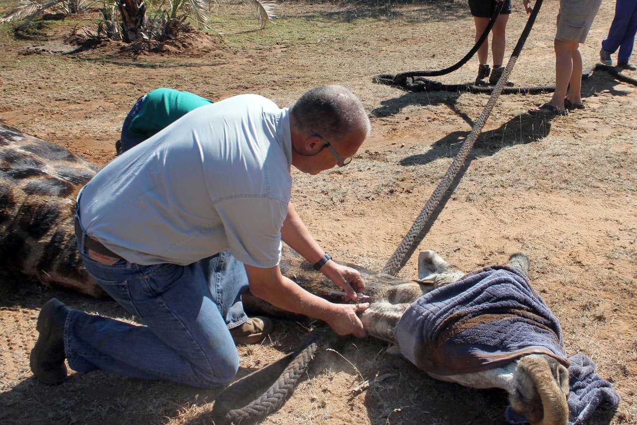 La fotógrafa Brass Brassett se encontraba ahí como parte del proyecto Campfire Academy.