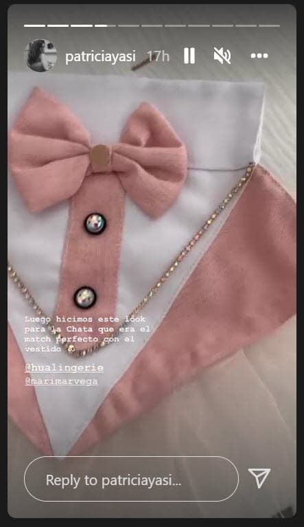 La mascota lució uno a juego con parte de los mismos textiles que se utilizaron en el de la novia. 
<br>