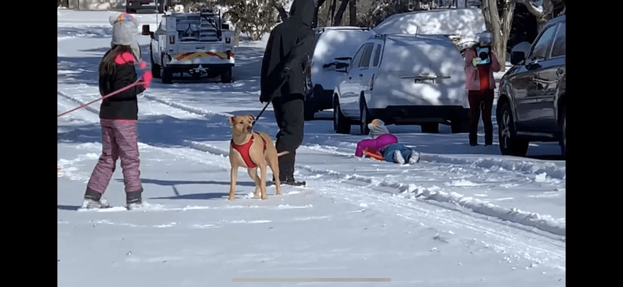 Sin la protección adecuada, la
<b><a href="https://www.univision.com/local/san-antonio-kwex/escalofrios-frio-constante-confusion-mental-y-enrojecimiento-de-la-piel-los-sintomas-de-la-hipotermia-video">hipotermia</a></b> podría aparecer rápidamente.