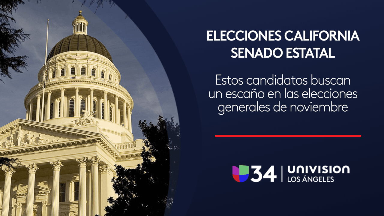 Estas son las principales contiendas para el Senado de California en las elecciones de noviembre